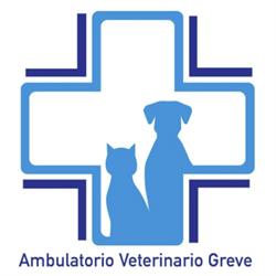 Ambulatorio Veterinario Greve, Greve in Chianti orari di apertura
