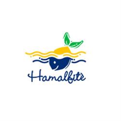 Hamalfite' - Produzione Costumi da Bagno, Baronissi orari di apertura