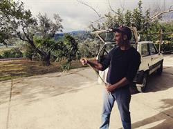 San Vito Hemp Az. Agricola, San Vito sullo Ionio orari di apertura