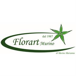 Florart Murino di Murino Marianna, Calvello orari di apertura