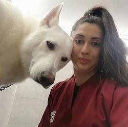 Stelle a 4 Zampe Toelettatura Di Conti Rosaria, Ramacca orari di apertura