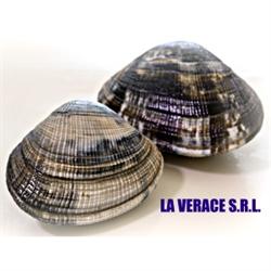 La Verace, Valli orari di apertura