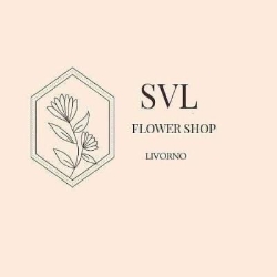 Svl Flower Shop, Livorno orari di apertura
