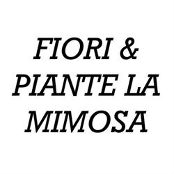 Fiori e Piante La Mimosa, Fermignano orari di apertura