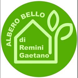 Albero Bello, Ancona orari di apertura