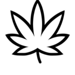 Shopganja Marketplace Legal Cannabis Hashish, Tradate orari di apertura