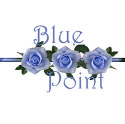 Blue Point agenzia di traduzioni e interpretariato, Cuneo orari di apertura