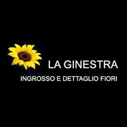 La Ginestra Ingrosso e Dettaglio Fiori, Lioni orari di apertura