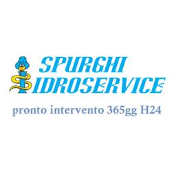 Idroservice Spurghi Cologno Monzese, orari di apertura