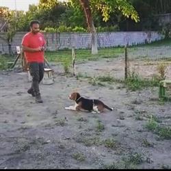 Leo Dog Park, Camposano orari di apertura