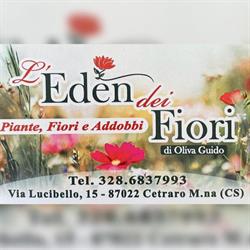 L'Eden dei Fiori di Oliva Guido, Cetraro Marina orari di apertura