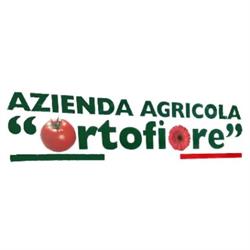 Azienda Agricola Ortofiore, Cuneo orari di apertura