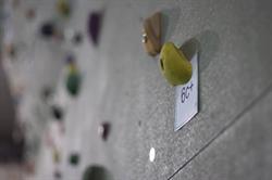 Palestra Arrampicata, Portogruaro orari di apertura