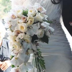 L'Orchidea, Nicolosi orari di apertura