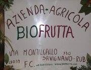 Biofrutta Azienda Agricola, Savignano sul Rubicone orari di apertura
