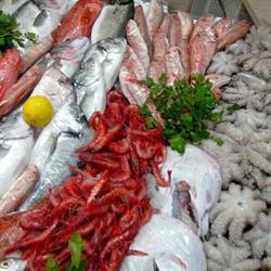 Pescheria Il Gozzo Blu, Turi orari di apertura