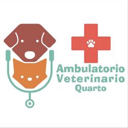 Ambulatorio Veterinario Quarto, Giugliano in Campania orari di apertura