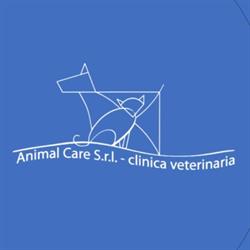 AnimalCare - Clinica veterinaria, Martignacco orari di apertura