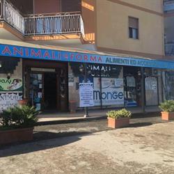 Animali in Forma di B.P., Marano di Napoli orari di apertura