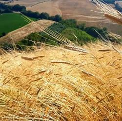LaViola, Torre San Patrizio orari di apertura