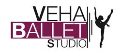 Veha Ballet Studio, Chiesina Uzzanese orari di apertura