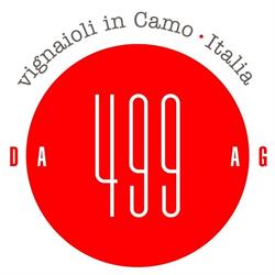 499 VINO, Santo Stefano Belbo orari di apertura