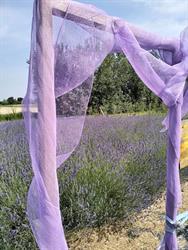 Eventi in Fattoria Contrà Mussolina, Longare orari di apertura