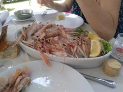 Pescheria Fratelli Muraro, Badia Polesine orari di apertura