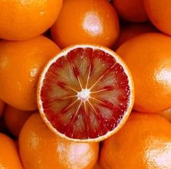 Ortofrutta Il Frutteto, Mogliano Veneto orari di apertura