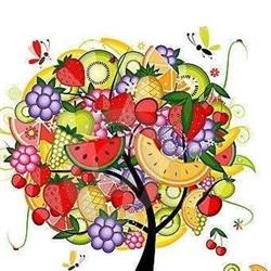L'Albero della frutta, Termoli orari di apertura