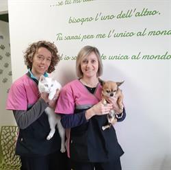 Ambulatorio Veterinario Bussoleno, orari di apertura