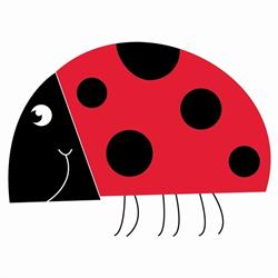 Ladybug Abbigliamento, Santo Stefano Belbo orari di apertura