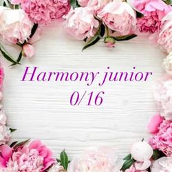 Harmony Junior, Sorrento orari di apertura