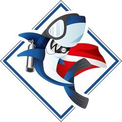 Blue Shark Diving / Dive System, Civitavecchia orari di apertura