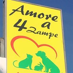 Amore a 4 zampe srls Carovigno, orari di apertura