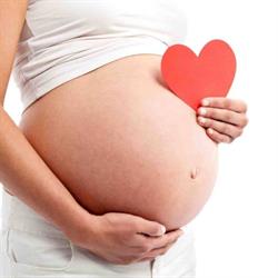 Studio di Ginecologia ed Ostetricia Volla, orari di apertura