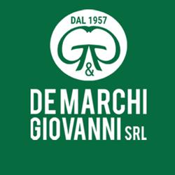 De Marchi Giovanni S.r.l., Montecchia di Crosara orari di apertura