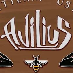 Avilius Caffetteria Osteria, Avigliana orari di apertura