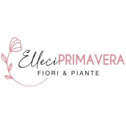 Elleciprimavera fiori&piante - consegne a domicilio, Lomazzo orari di apertura