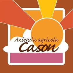 Agriturismo Cason, Mortegliano orari di apertura