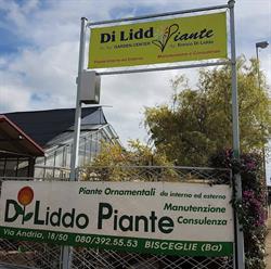 Garden Di Liddo piante, Bisceglie orari di apertura
