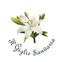 Il Giglio - Sanitaria Ortopedia, Noceto orari di apertura