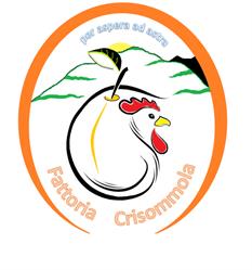 Fattoria Crisommola, Pollena Trocchia orari di apertura