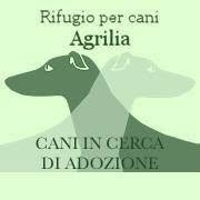 Rifugio per Cani Agrilia, Perugia orari di apertura