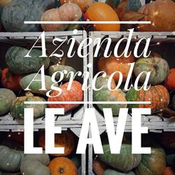 Azienda Agricola Le Ave, Salgareda orari di apertura