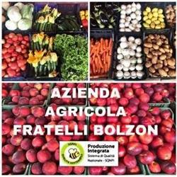 Azienda Agricola Fratelli Bolzon, Castelfranco Veneto orari di apertura