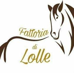 Fattoria di Lolle San Marcello Piteglio, San Marcello Pistoiese - Orari di apertura