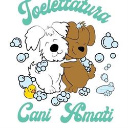 Toelettatura Cani Amati, Cantù orari di apertura
