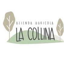 azienda agricola La Collina di Laura Bartolomeo, Baldissero Torinese orari di apertura