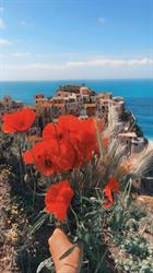 Manarola Boutique, orari di apertura